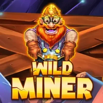 Wild Miner – Spielbild